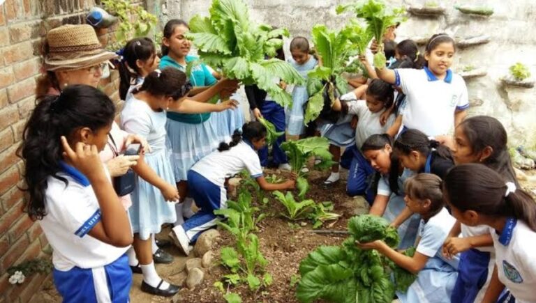 Educación ambiental en escuelas